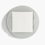 RTH Gotchi Mirror