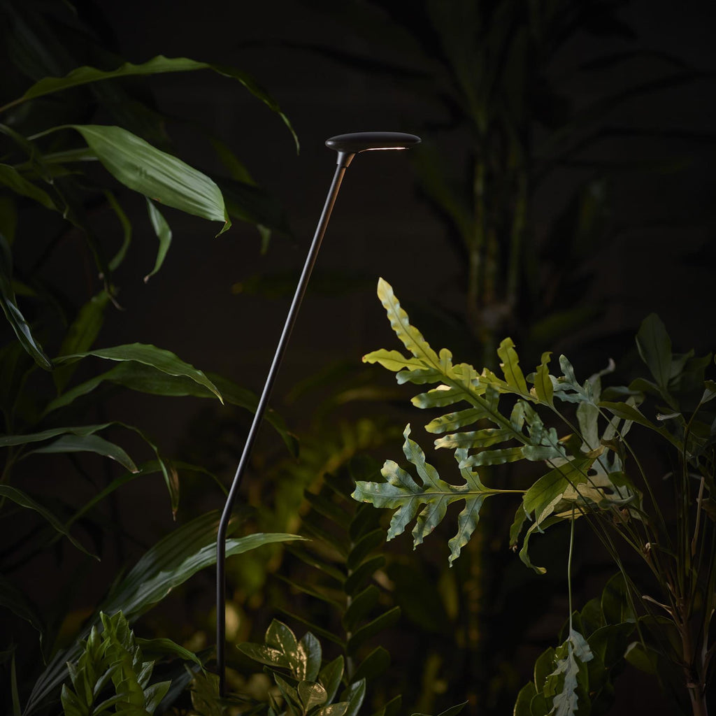 Bover Birdie Outdoor Bollard Light