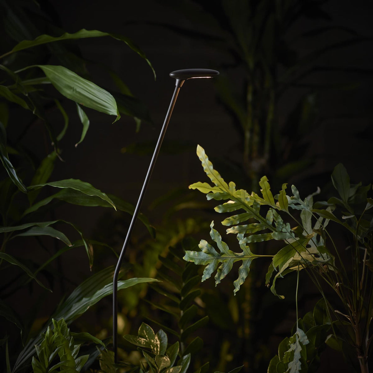 Bover Birdie Outdoor Bollard Light