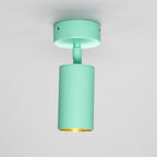 Mullan Lighting Evanston Directional Brass Ceiling Spotlight