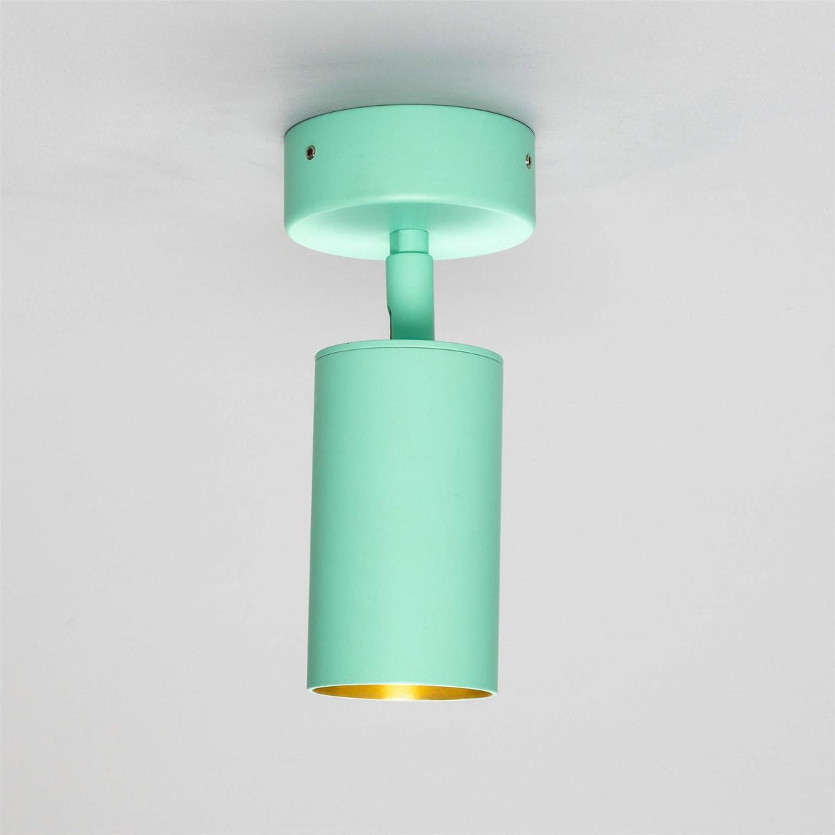 Mullan Lighting Evanston Directional Brass Ceiling Spotlight