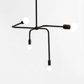 Beaubien suspension
