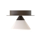 TOOY Linfa Ceiling / Wall Light