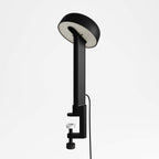 TIPTOE NOD Clamp On Lamp