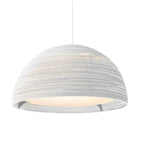 Graypants Dome Pendant Light