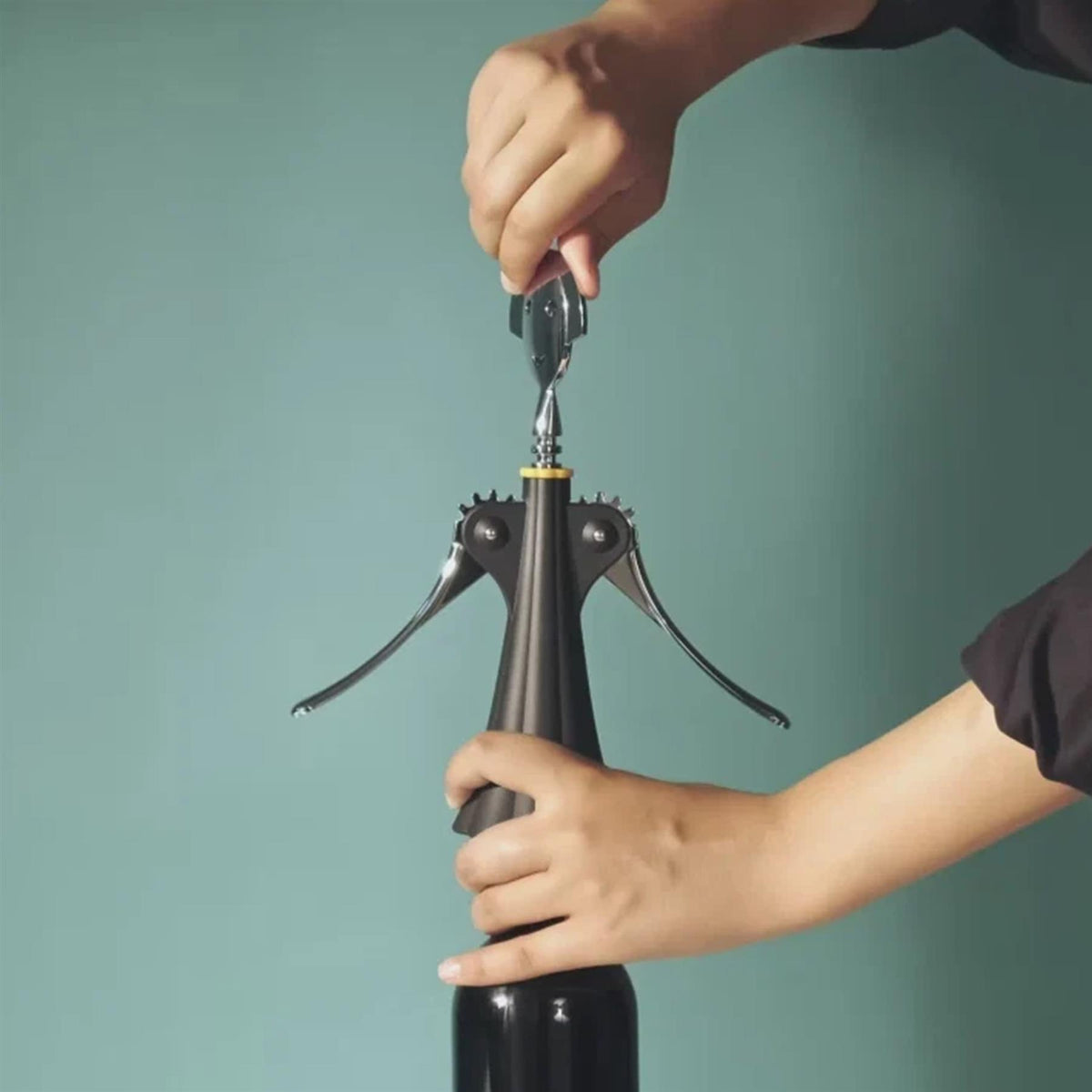 Alessi Anna G. Corkscrew & Wine Bottle Stopper Gift Set