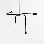 Beaubien suspension