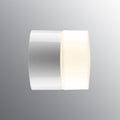 Old School Electric Opus 100 Bathroom Sauna Wall or Ceiling Light