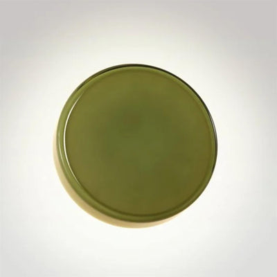 Marset Caramel Wall Light