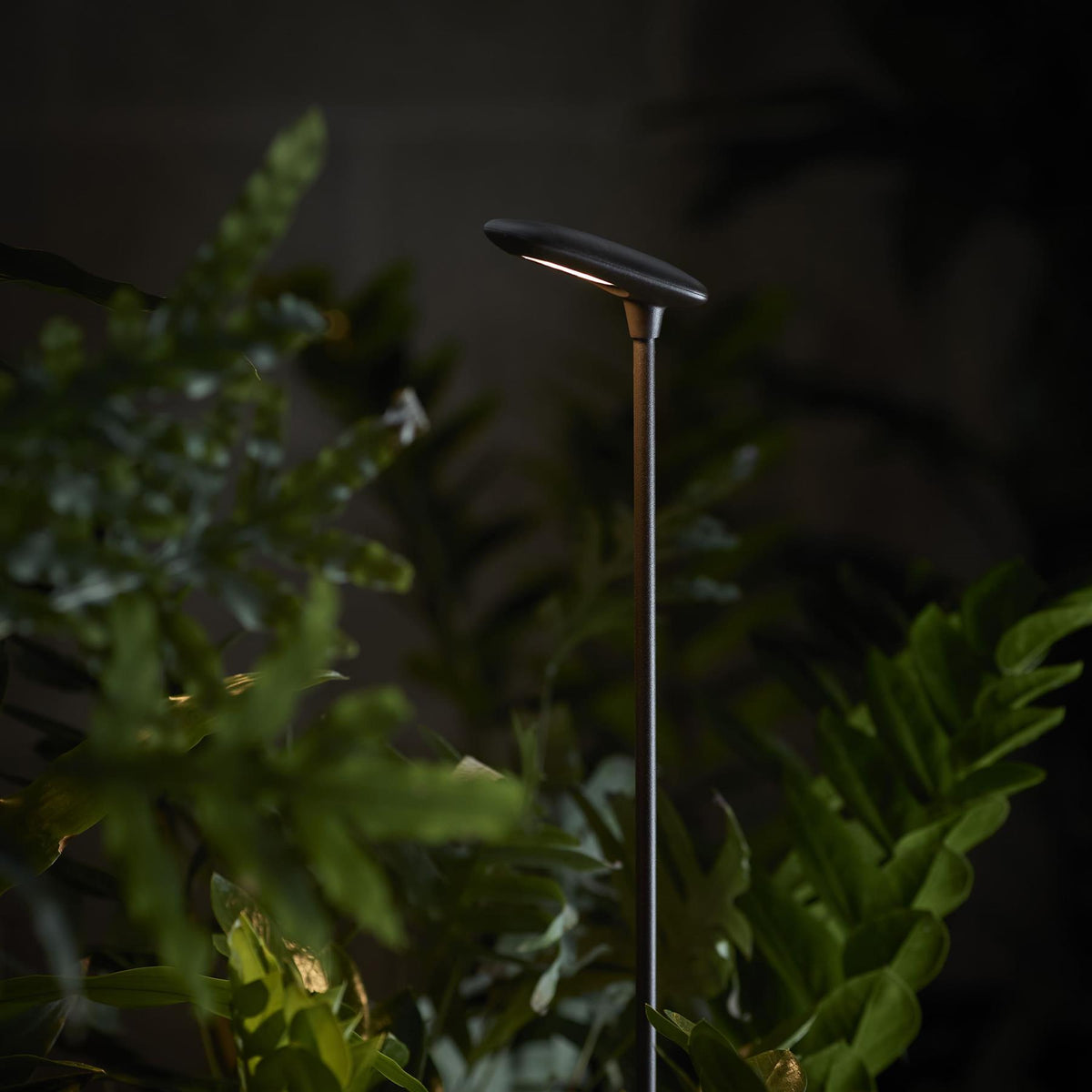Bover Birdie Outdoor Bollard Light