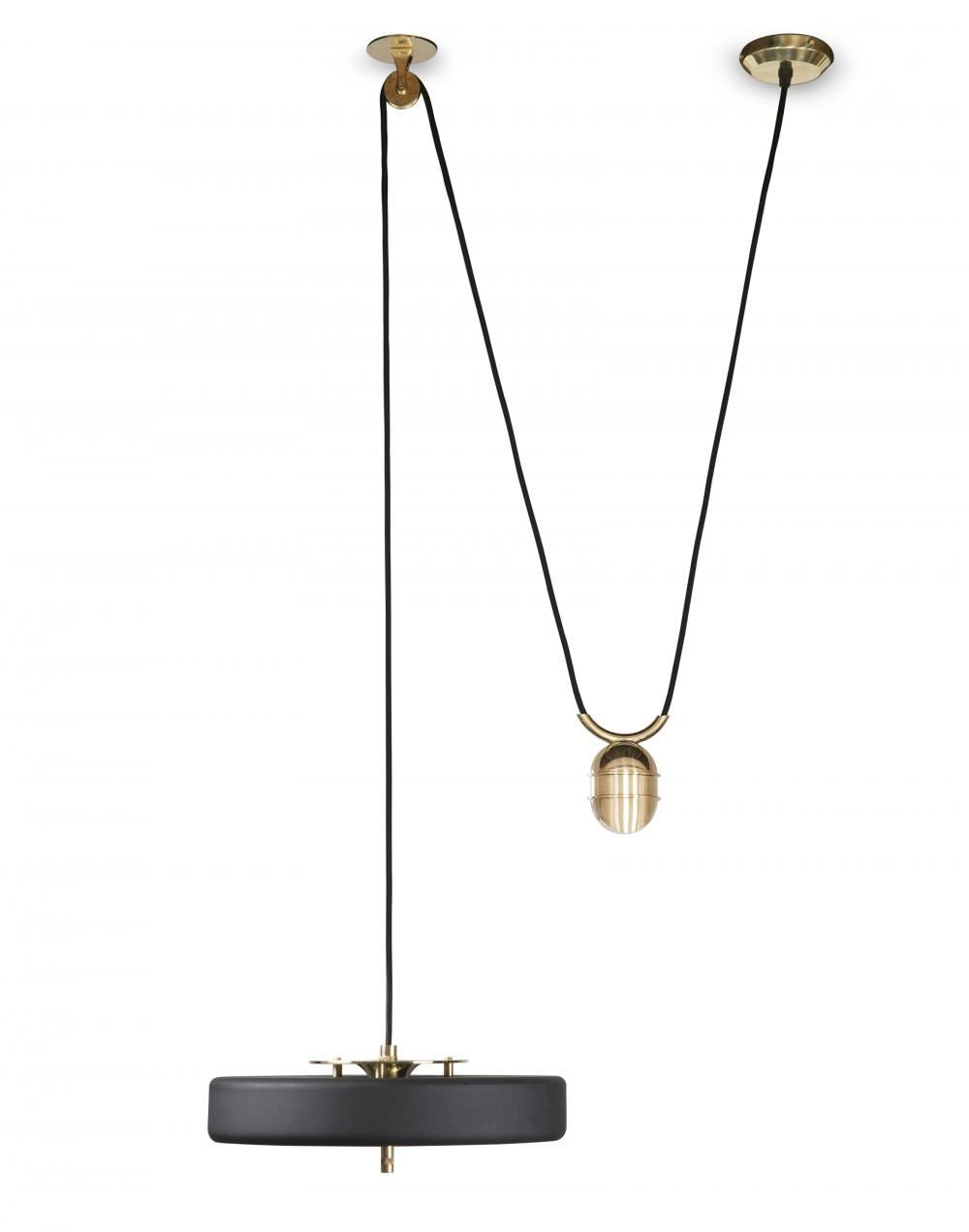 Bert Frank Revolve Rise And Fall Pendant Light