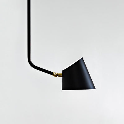 Darmes Hartau Ceiling Light