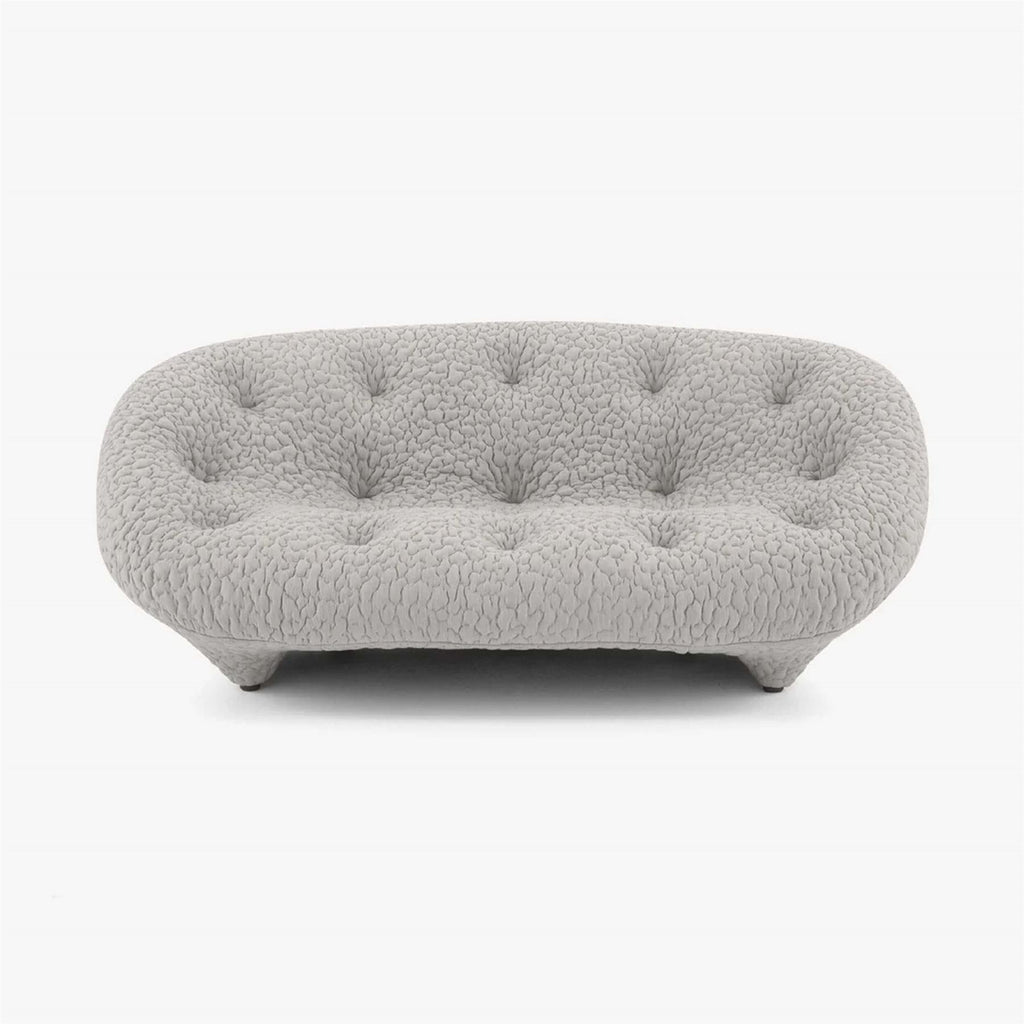 Ligne Roset Ploum 2+ Seater Sofa