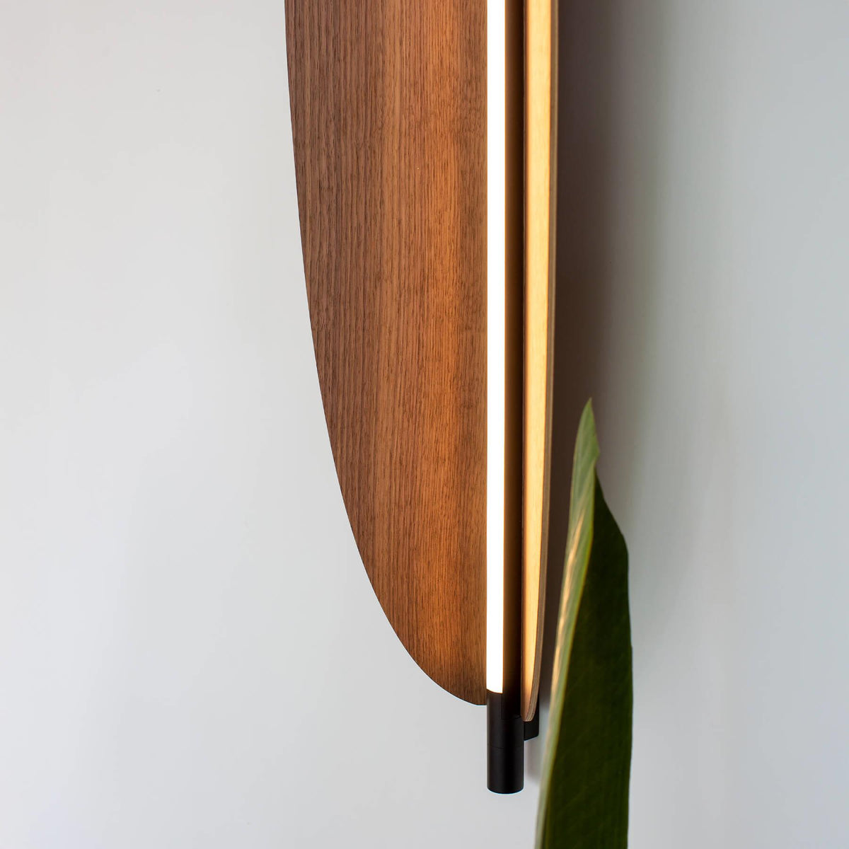 TOOY Thula Wall / Ceiling Light, Large