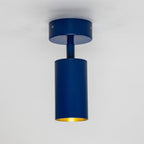 Mullan Lighting Evanston Directional Brass Ceiling Spotlight