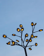 Bocci Tree 10 - 40 Pieces