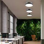 Umage Asteria Ceiling Light