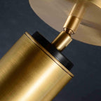 Jimmy Raiden Cameron Adjustable Flushmount Ceiling Light