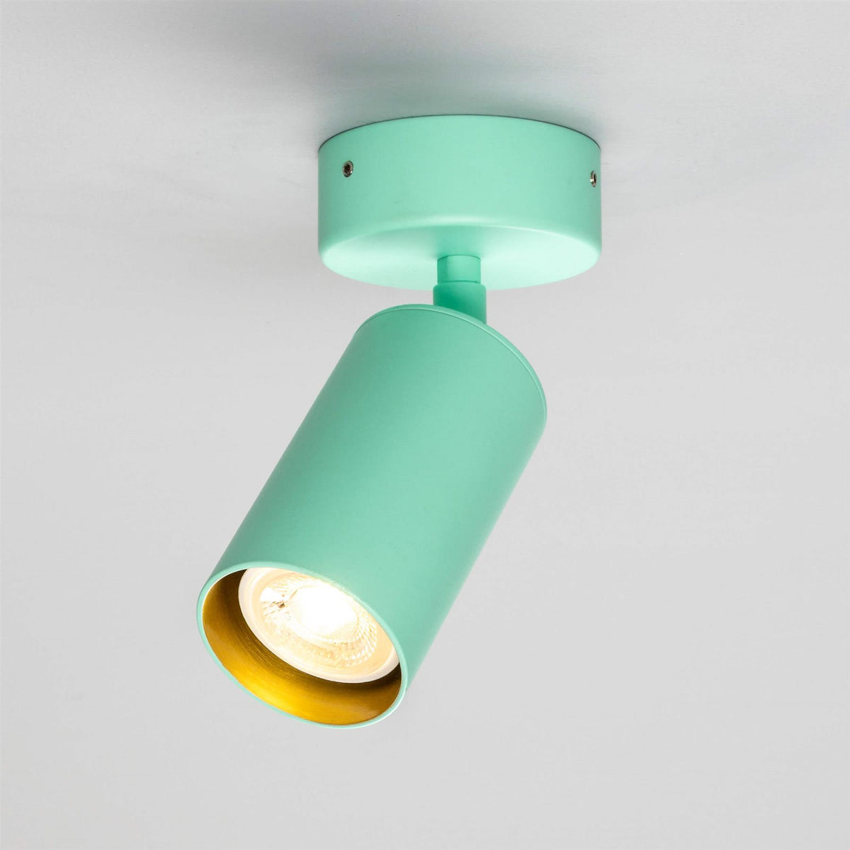 Mullan Lighting Evanston Directional Brass Ceiling Spotlight