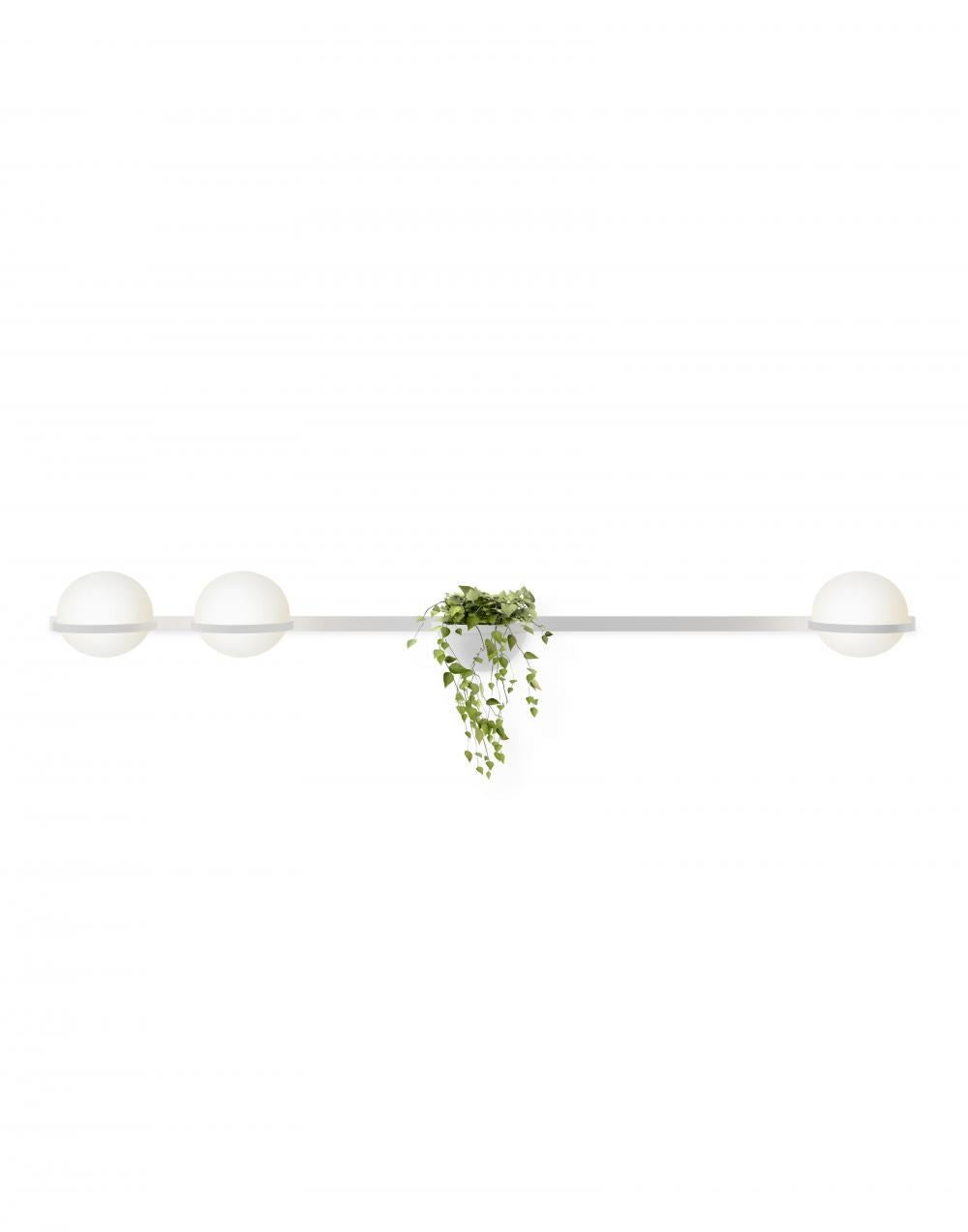 Vibia Palma Wall Light