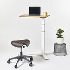 Humanscale Float Mini Desk