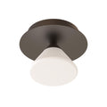 TOOY Linfa Ceiling / Wall Light