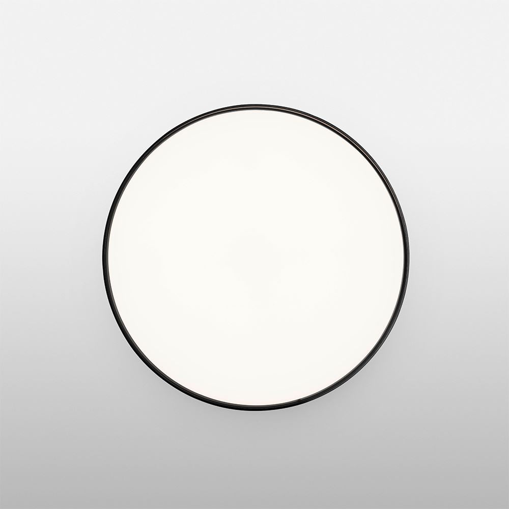 Flos Clara Wall / Ceiling Light