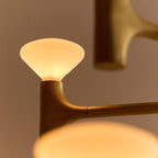 Tala Root Chandelier