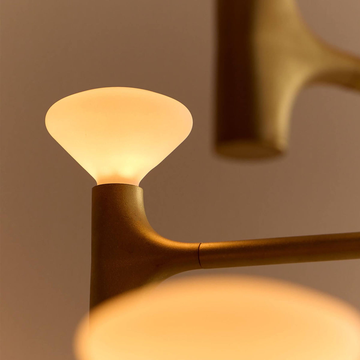 Tala Root Chandelier