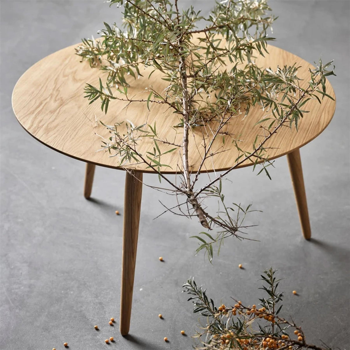 Bruunmunch PLAYround Coffee Table : Diameter 60cm