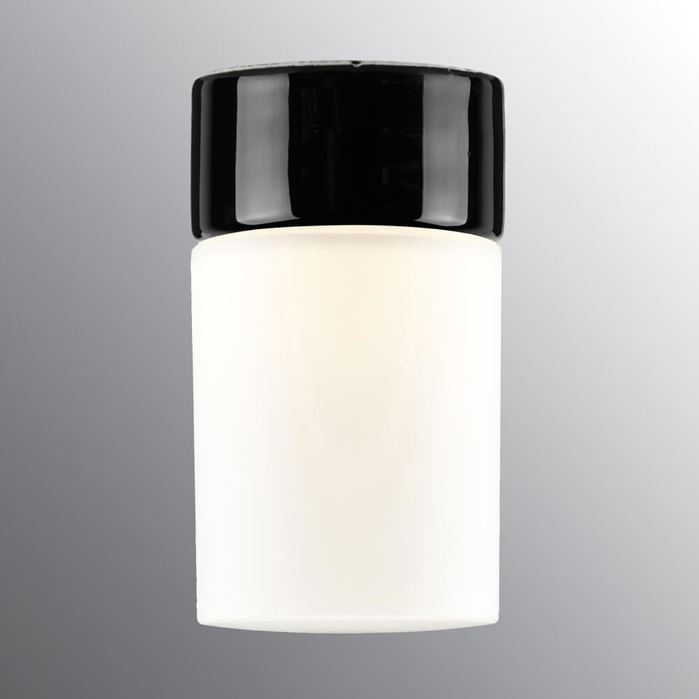 Old School Electric Opus 175 Sauna Wall or Ceiling Light