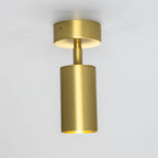 Mullan Lighting Evanston Directional Brass Ceiling Spotlight