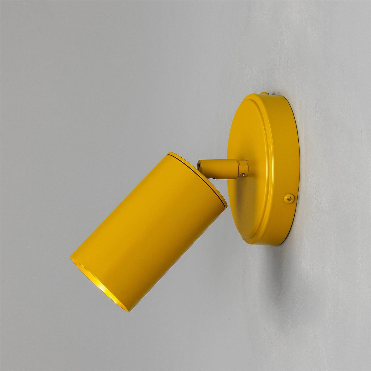 Mullan Lighting Evanston Directional Brass Wall Spotlight