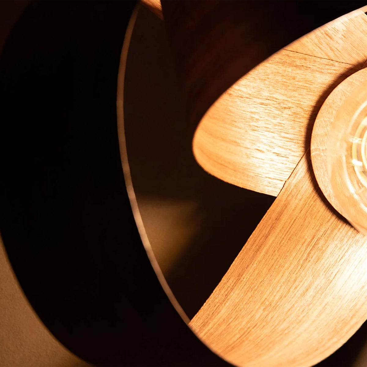 Tom Raffield Verso Wall Light