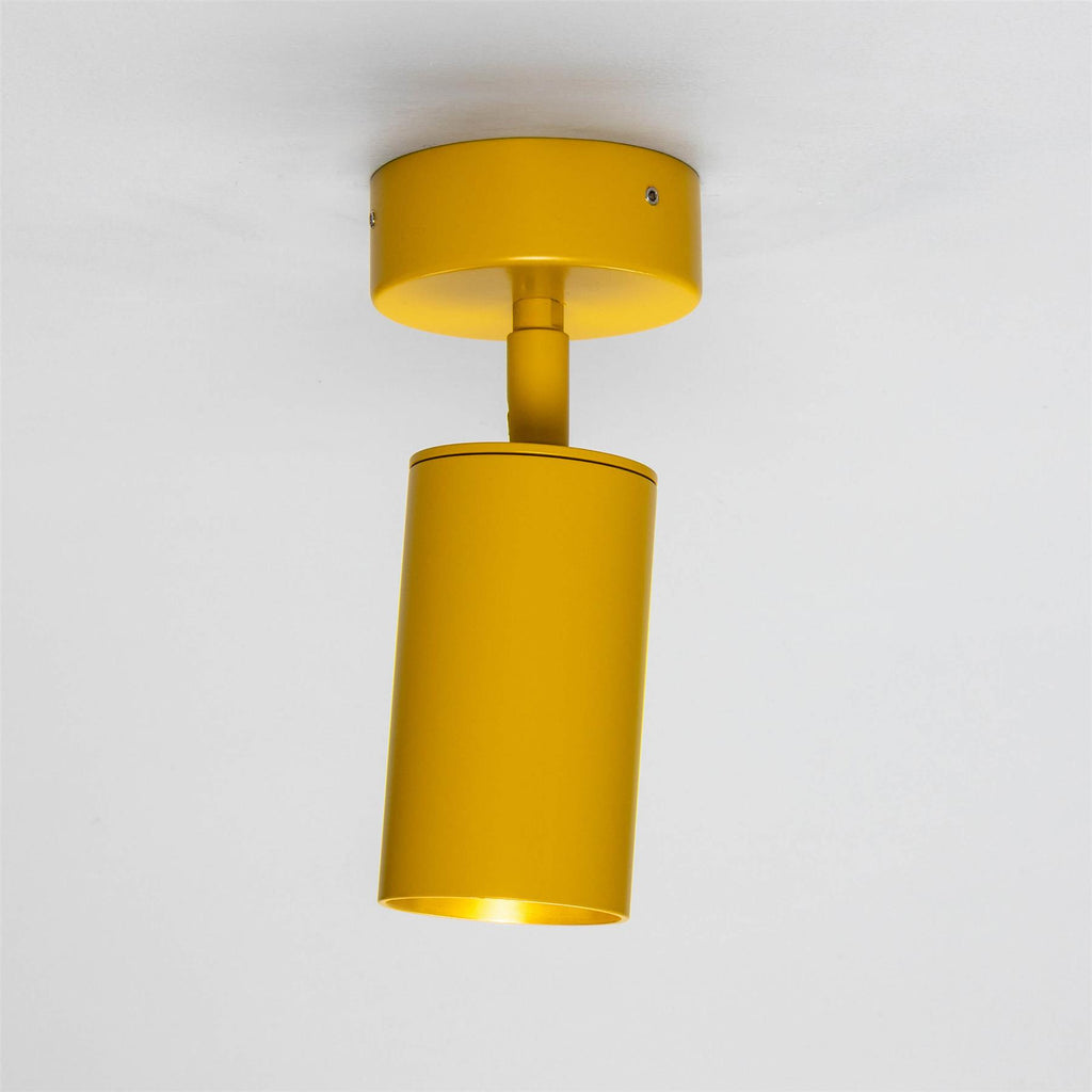 Mullan Lighting Evanston Directional Brass Ceiling Spotlight