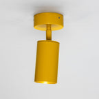 Mullan Lighting Evanston Directional Brass Ceiling Spotlight
