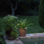 Bover Birdie Outdoor Bollard Light