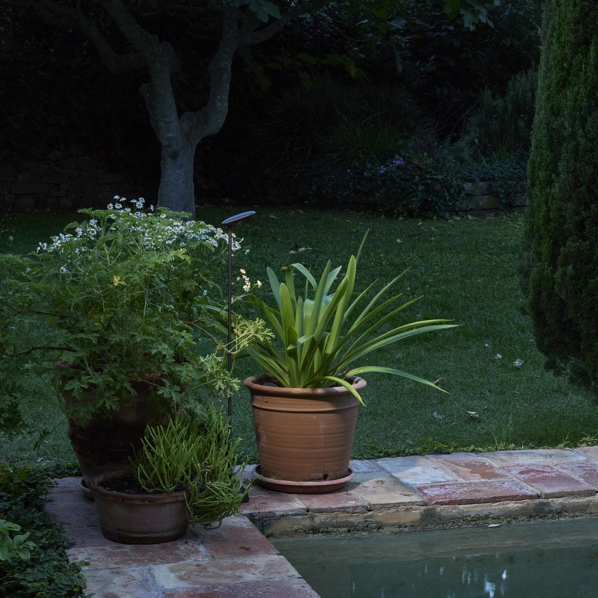 Bover Birdie Outdoor Bollard Light