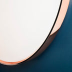 Flos Clara Wall / Ceiling Light