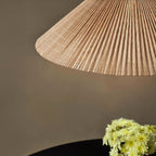 GUBI A 1972 Rise and Fall Pendant Light