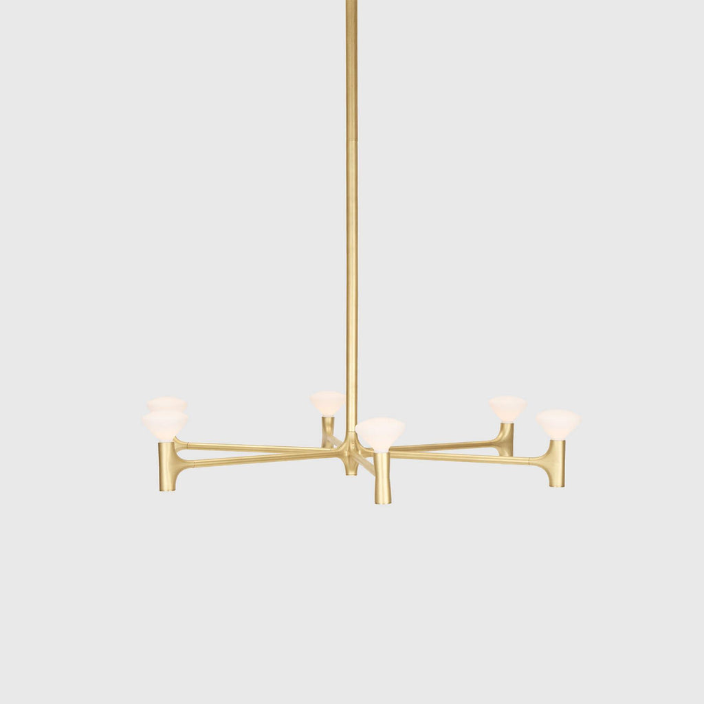 Tala Root Chandelier