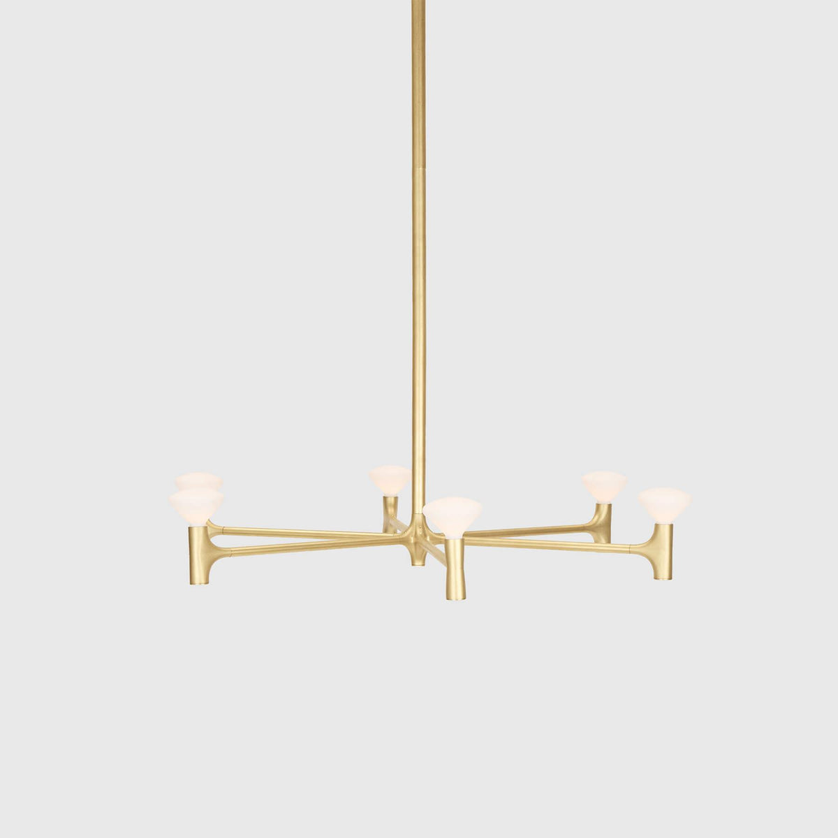Tala Root Chandelier