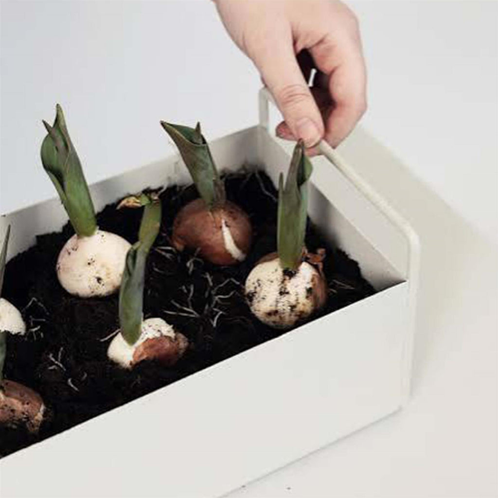 Ferm Living Small Plant Box
