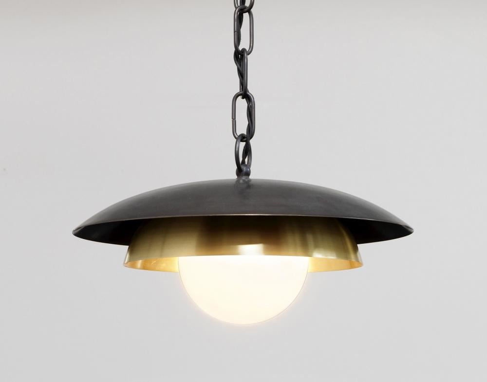 Carapace pendant