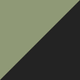 Agave and Anthracite