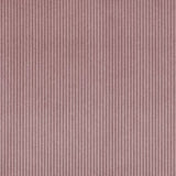 Linea rosa