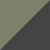Cactus and Anthracite
