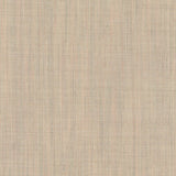 Canvas 216