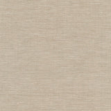 Clay 0011