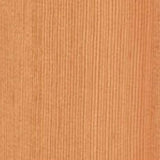 Golden Pine